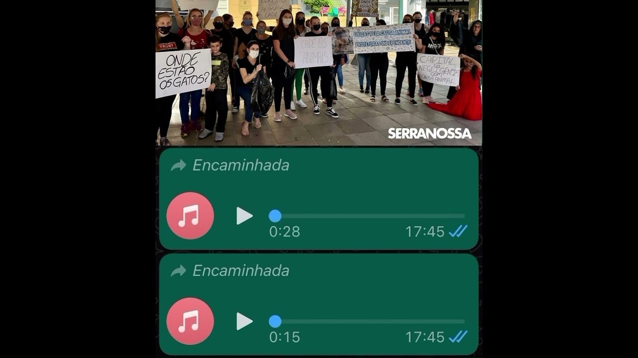 Defensora da causa animal recebe ameaças por WhatsApp