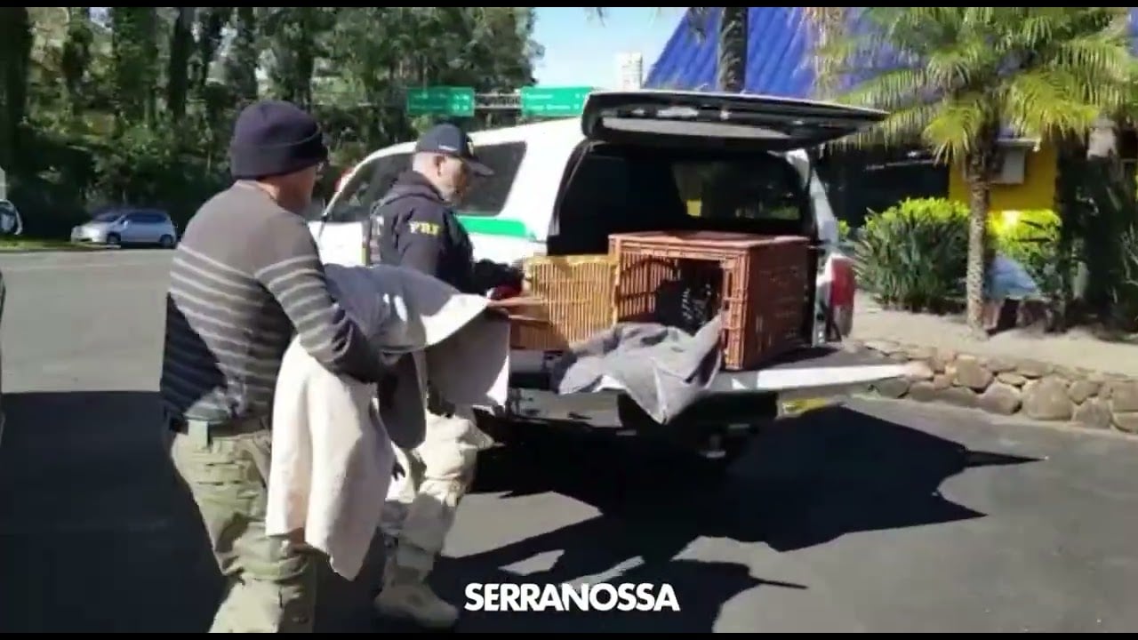 20 de agosto de 2022