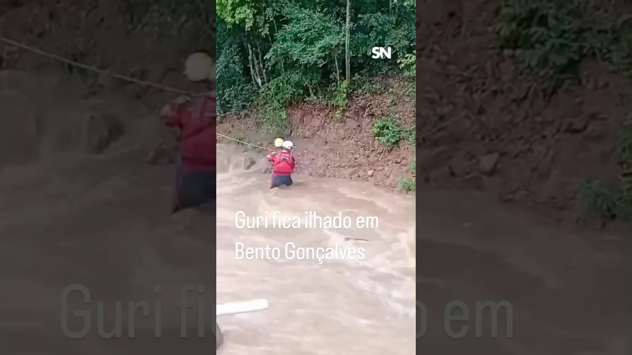 Guri fica ilhado em Bento Gonçalves