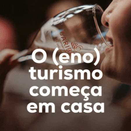 Ad banner Vinícola Garibaldi