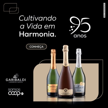 Ad banner Vinícola Garibaldi