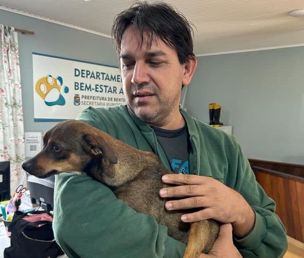 Cadela resgatada pelos bombeiros de Bento reencontra seu tutor