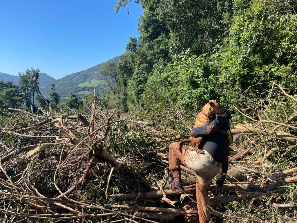 Uma nova família para Caramelo, resgatado pela PRF nos escombros da BR-470