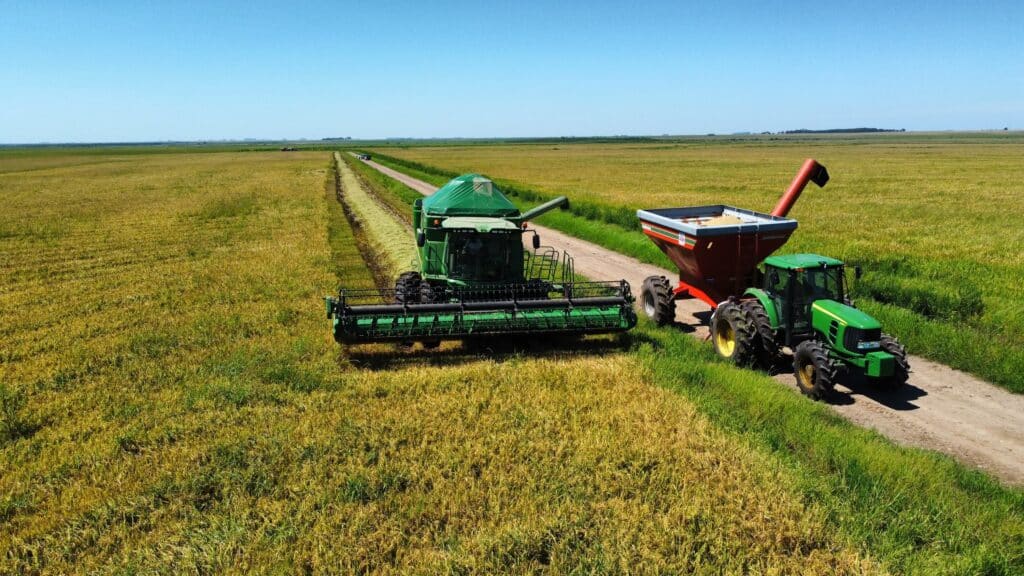 Colheita de arroz encerra no RS com 7,16 milhões de toneladas do grão