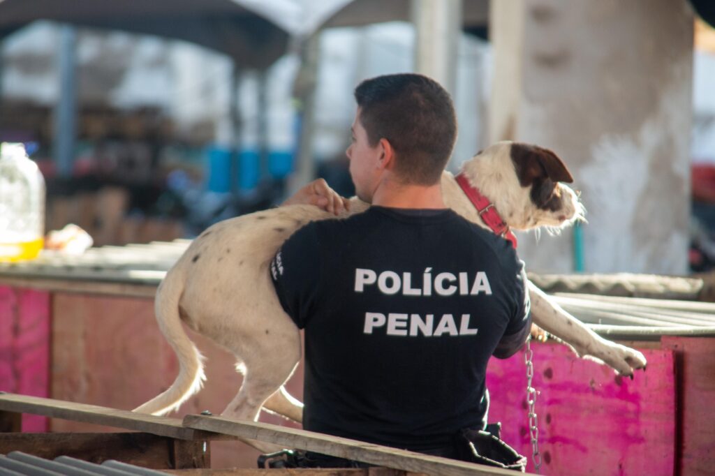 Detentos e servidores da Polícia Penal auxiliam abrigo de cães no RS