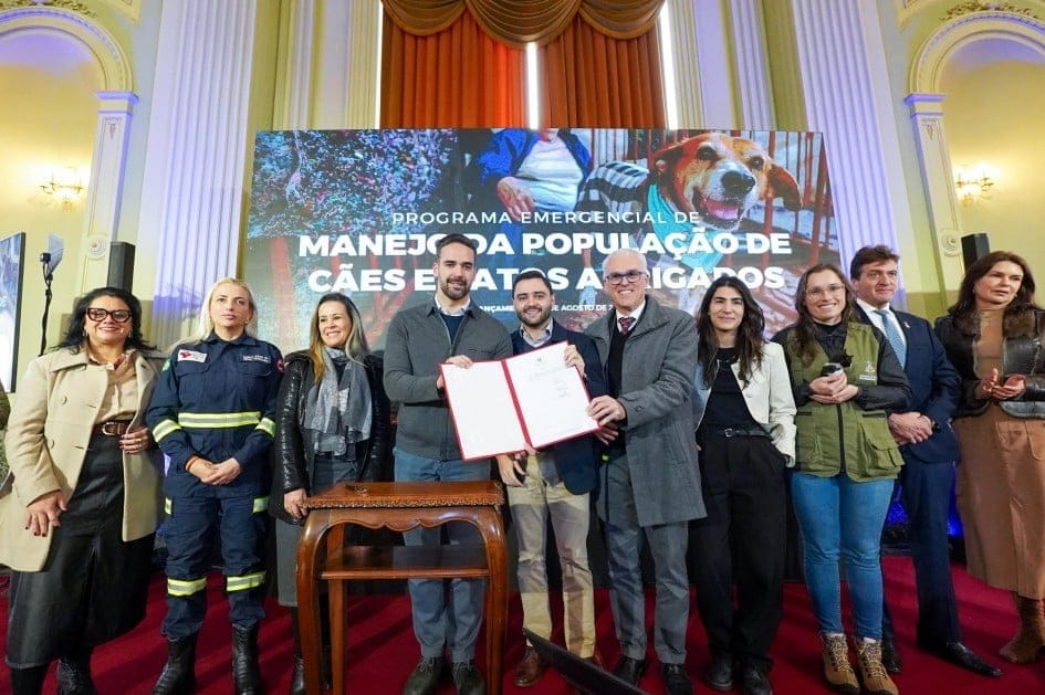 Governo do RS anuncia novo programa de apoio aos abrigos de cães e gatos