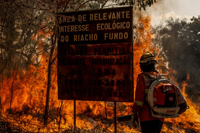 Governo Lula discute pena de até 18 anos de prisão para quem provocar incêndio florestal