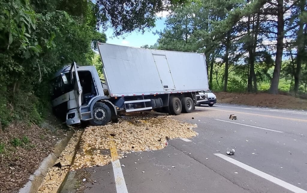 Caminhão carregado de ovos sai da pista e colide em barranco, na BR-470