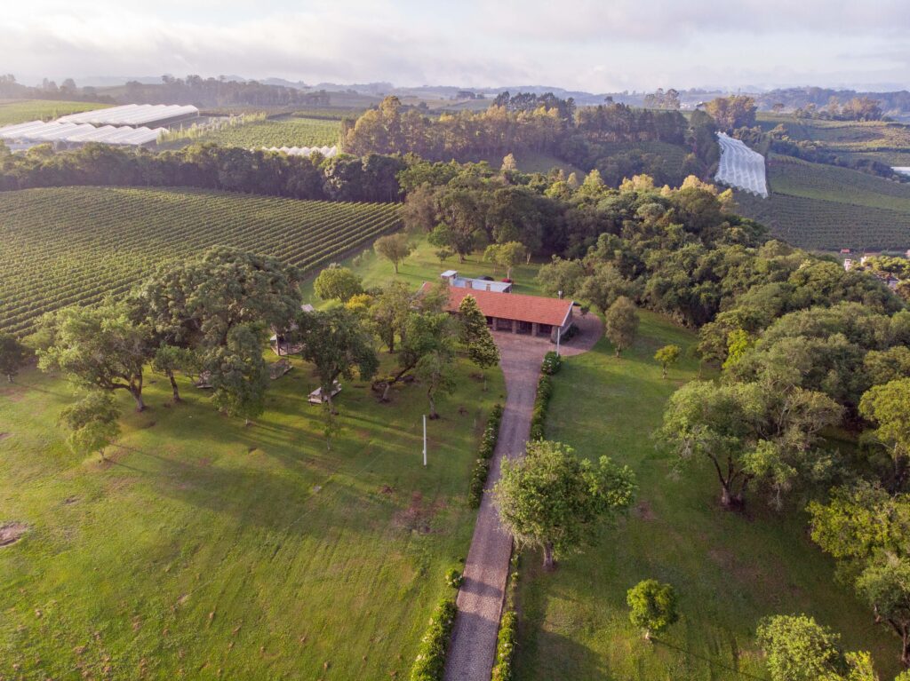 Atrações nas unidades Matriz e Vale dos Vinhedos, em Bento Gonçalves, e nos vinhedos de Pinto Bandeira são reforçadas no período da colheita da uva