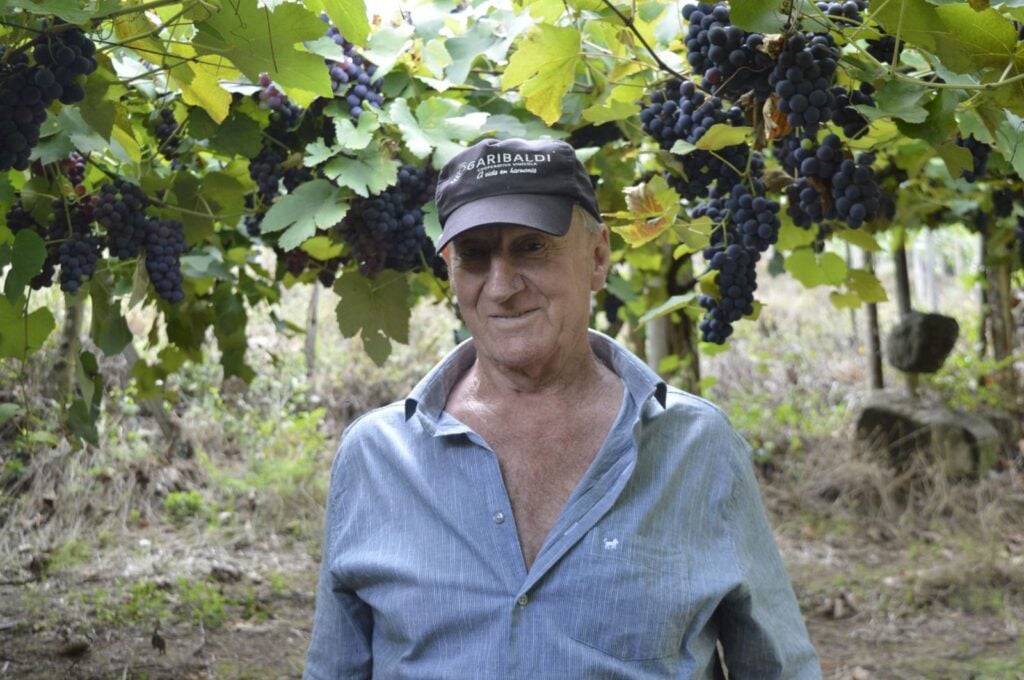 Alcides Laste, 77 anos, tem mais de seis décadas como cooperado da Vinícola Garibaldi