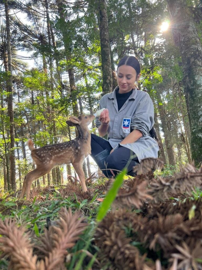 Visitas ao Zoológico da UCS estão temporariamente suspensas.