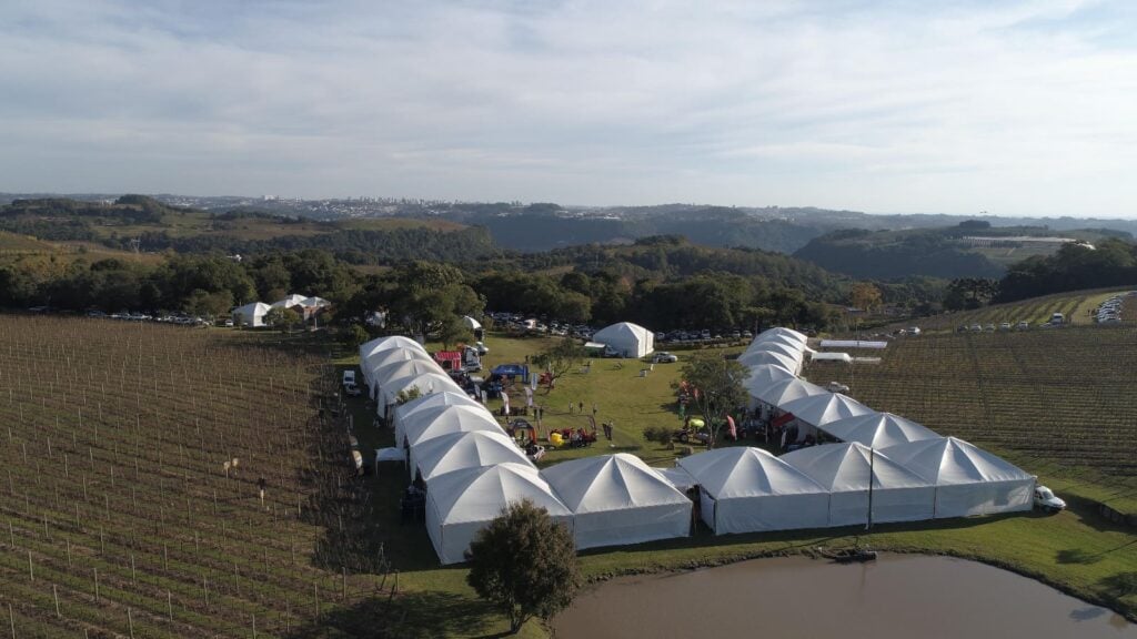 Vitis Aurora espera público superior a 5 mil pessoas. Foto: Anderson Pagani