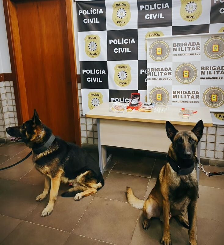 Cães farejadores encontram 248g de crack enterrado em condomínio de Farroupilha.