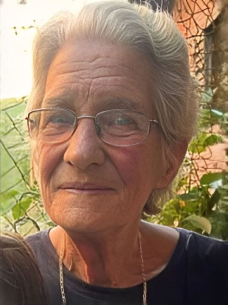 Terezinha Maria Castagnetti, de 72 anos, foi atropelada próximo ao viaduto da Embrapa, chegou a ser internada no Hospital Tacchini, mas não resistiu; o motorista fugiu sem prestar socorro.