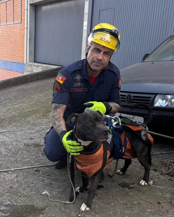 Bombeiros salvam cachorro preso em barranco em Bento Gonçalves.