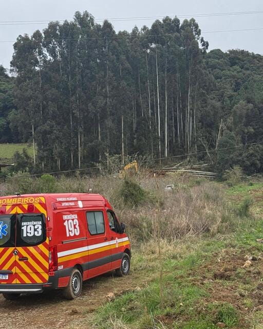 Homem é encontrado esmagado embaixo de árvore em Ipê.