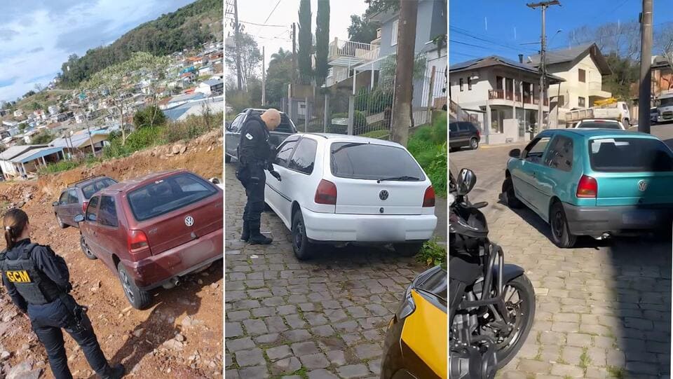 Quatro Golzinhos recuperados nos últimos 7 dias em Bento Gonçalves.