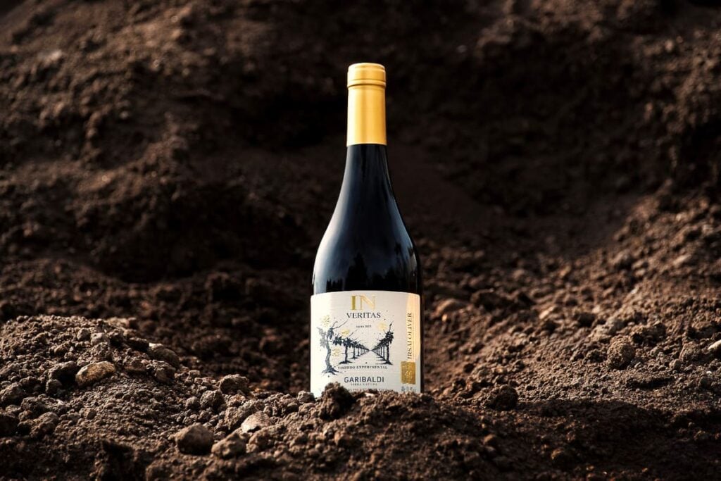 Cooperativa Vinícola Garibaldi estreia na ProWine Brasil mirando expansão nacional.