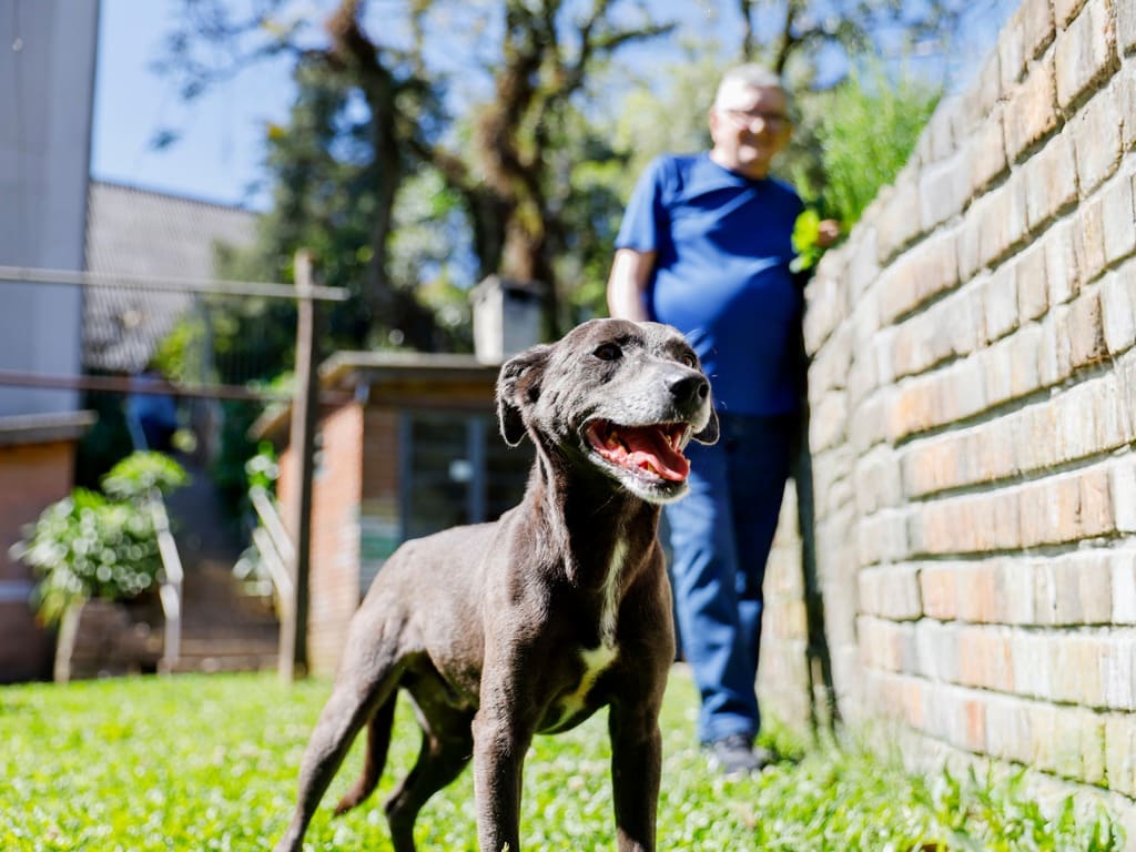 Conheça Bruce, o novo morador do Residencial Elisa Tramontina.