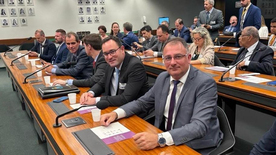 Zanella defende valorização do setor vitivinícola em audiência na Câmara dos Deputados.