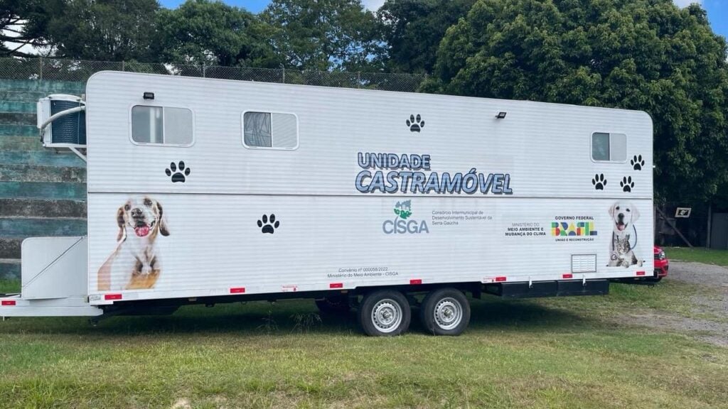 Mutirão para castração de animais em Bento Gonçalves.