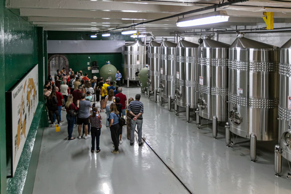 Vinícola Aurora recebeu mais de 260 mil visitantes em 2025.