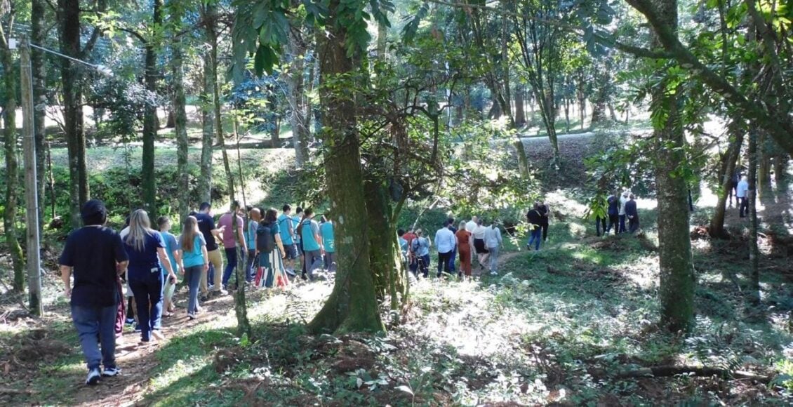 UCS Bento transforma área verde do campus em trilhas ecológicas abertas à comunidade