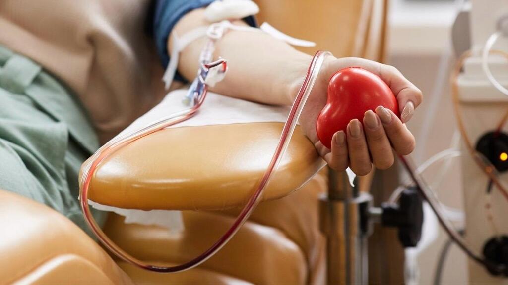 Doação de sangue em Bento Gonçalves será no dia 5 de agosto.
