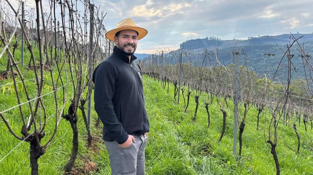 Mateus Foppa representa a quarta geração da família dedicada à viticultura em Coronel Pilar.