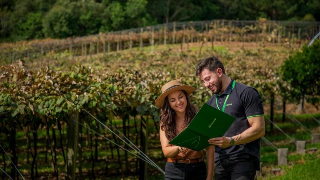 Sicredi Serrana leva Plano Safra a produtores de 23 municípios.