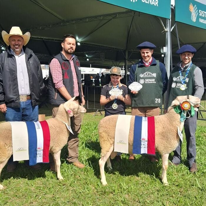 Criadores de Pinto Bandeira conquistam títulos na Expointer.
