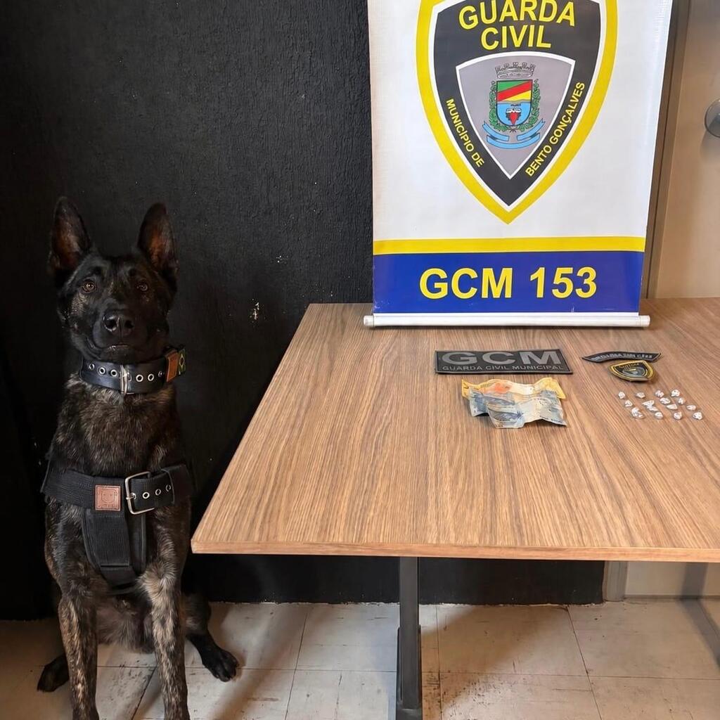 GCM prende homem por tráfico em Bento Gonçalves.