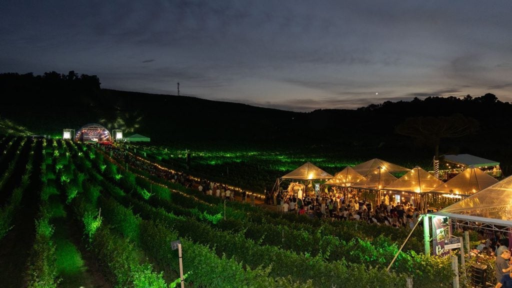 Shows e programação do Natal nos Vinhedos.